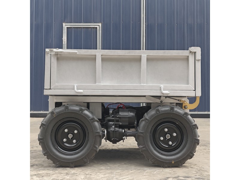 Four-Wheel / Eight-Wheel Carrier